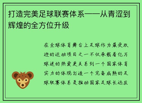 打造完美足球联赛体系——从青涩到辉煌的全方位升级
