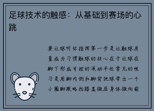 足球技术的触感：从基础到赛场的心跳