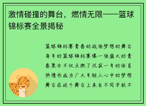 激情碰撞的舞台，燃情无限——篮球锦标赛全景揭秘